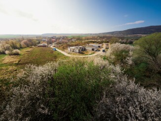 Zahrada rodinné vilky v Trnávka Living – co dostanete v ceně a co si vytvoříte podle sebe